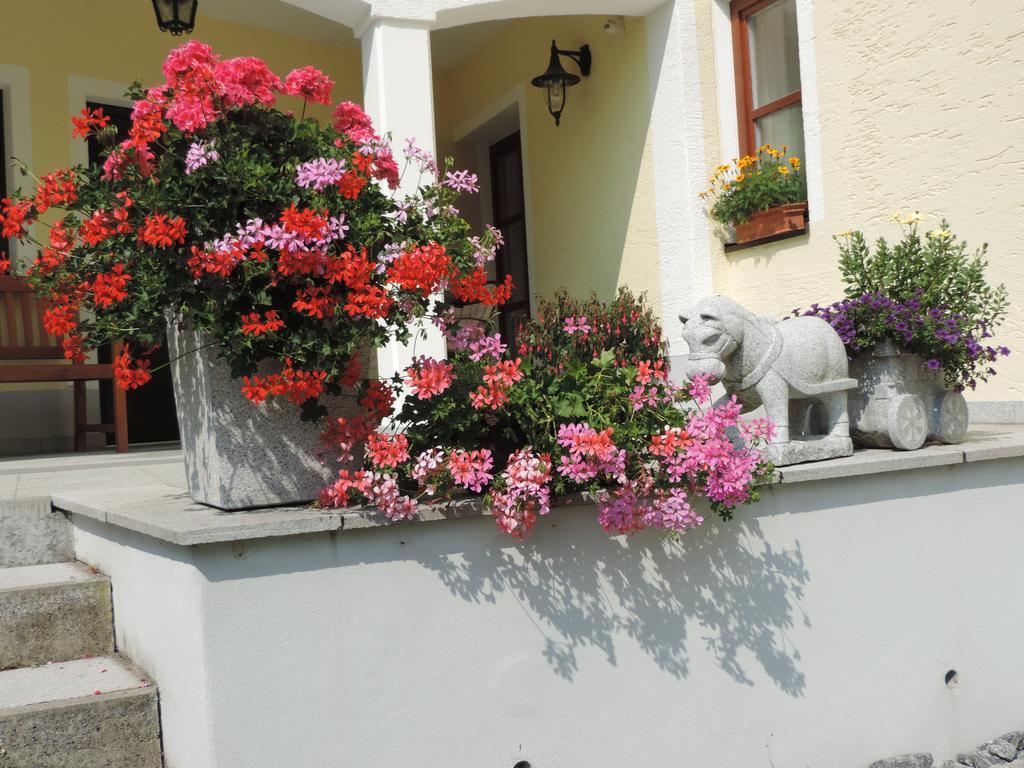 Ferienwohnung Waldoase Am Fuchsenstein Spiegelau Pokój zdjęcie